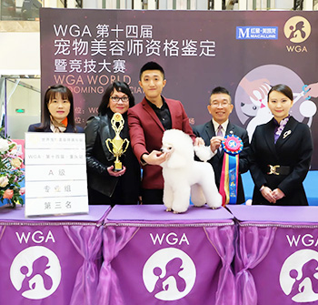 WGA A级第三名